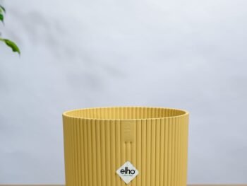 أصيص مخطط دائري اصفر 22 سم