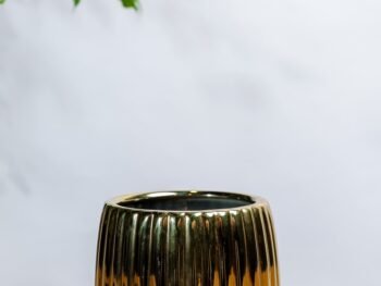 حوض دائري ذهبي بقاعدة بيضاء 10 سم