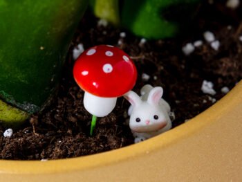 تغريسة فطر مع أرنب