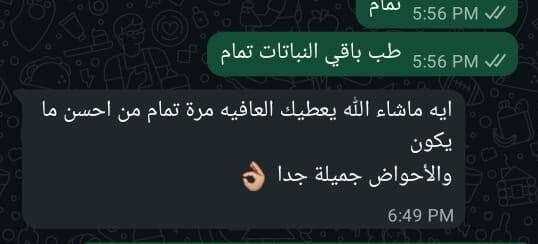 photo_2026-01-08_15-03-49