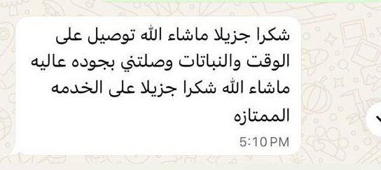 photo_2026-01-08_15-03-52