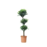 COMPACTA-P-24-CM-306090CM-H-130-CM