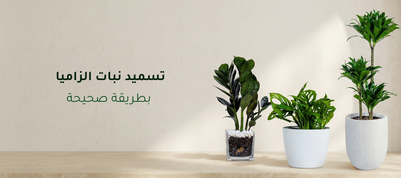 تسميد نبات الزاميا