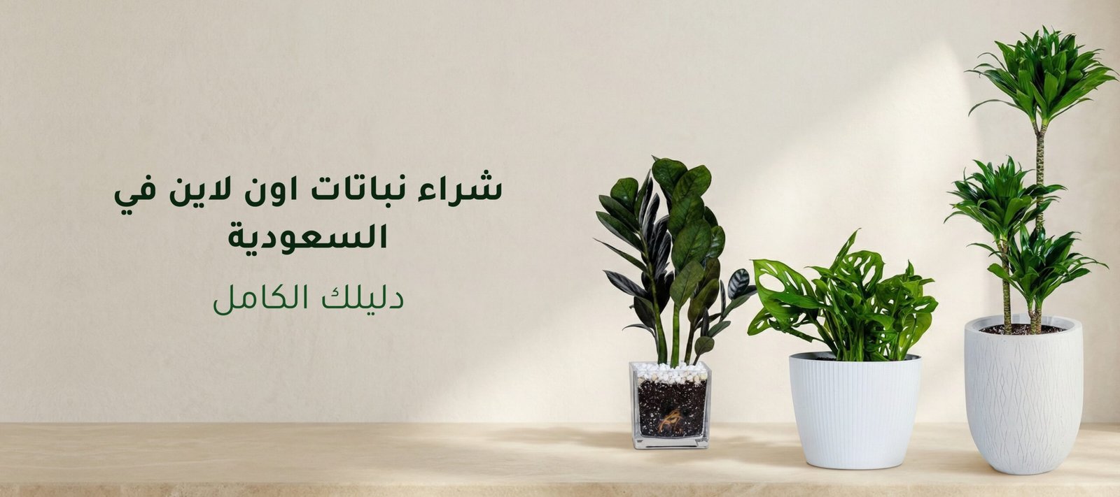 شراء نباتات اون لاين في السعودية: دليلك الكامل