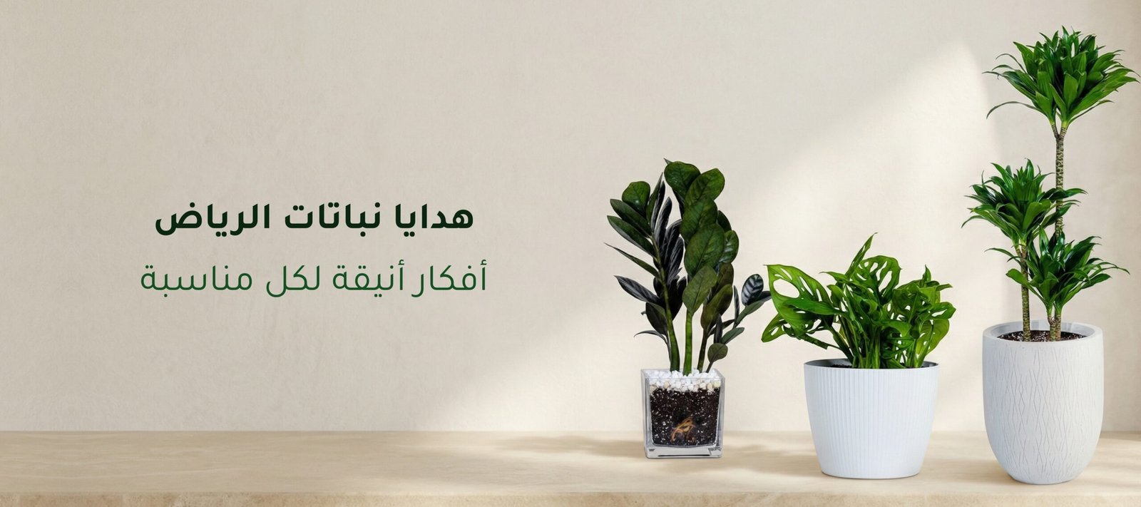 هدايا نباتات الرياض