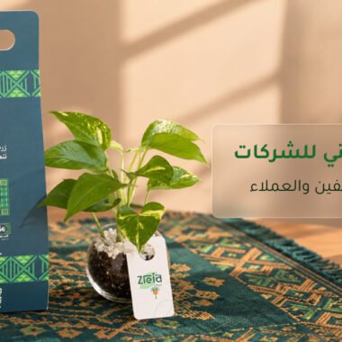 افضل النباتات الداخلية للمنزل تعيش بدون عناية (مناسبة للمبتدئين)