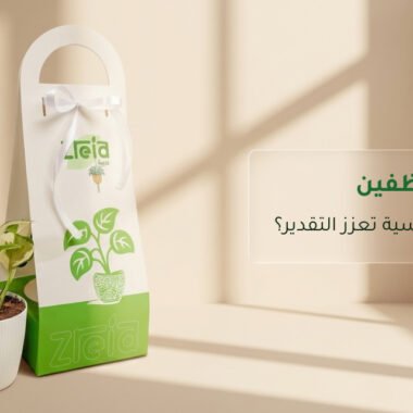 افضل النباتات الداخلية للمنزل تعيش بدون عناية (مناسبة للمبتدئين)