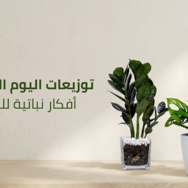 افضل النباتات الداخلية للمنزل تعيش بدون عناية (مناسبة للمبتدئين)
